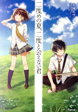 二度めの夏、二度と会えない君小学館文庫