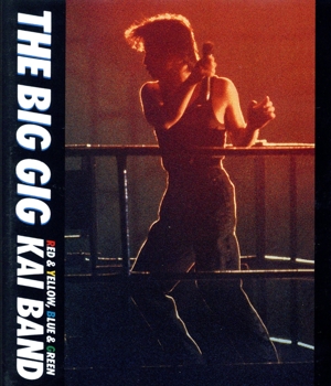 甲斐バンド　THE BIG GIG AGAIN DVD KAI BAND 2016 SPECIAL LIVE THE BIG GIG AGAIN(DVD+2CD) 中古DVD