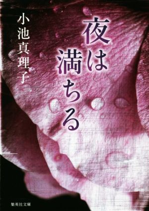 夜は満ちる集英社文庫