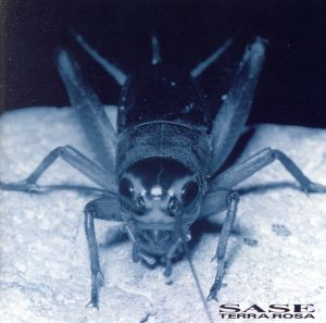 刹那の甘露-SASE-(Blu-spec CD)