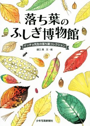 落ち葉のふしぎ博物館 ゲッチョ先生の落ち葉コレクション