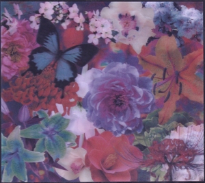 二〇〇七～二〇一七(初回限定盤A)(DVD付)