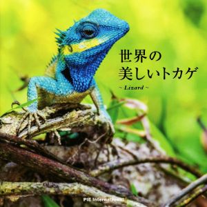 世界の美しいトカゲ Lizard