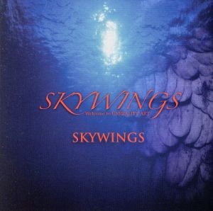 SKYWINGS(Type-B)