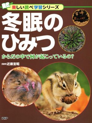 冬眠のひみつ からだの中で何が起こっているの？ 楽しい調べ学習シリーズ