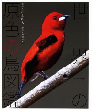 世界の原色の鳥図鑑