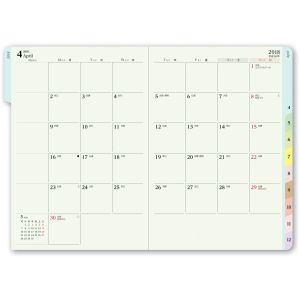 ڢɽۡڼĢ۲ͤΥ֥ߥڥ०꡼  С ˡʥԥ󥯡ˣǯǼĢ