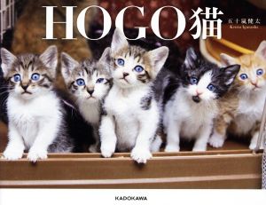 写真集 HOGO猫