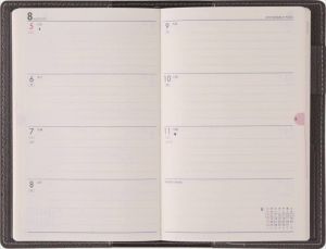 �ڢ���ɽ�����ۡڼ�Ģ�ۡʣ������ˣ�'������ʥƥ������ӥ塼�����˻Ϥޤꣵ��������ǯ���Ǽ�Ģ