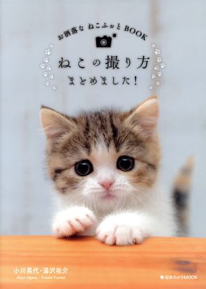 ねこの撮り方まとめました！ お洒落なねこふぉとBOOK 日本カメラMOOK