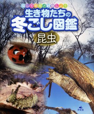 生き物たちの冬ごし図鑑 昆虫 探して発見！観察しよう