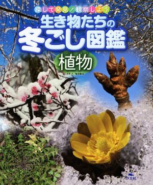 生き物たちの冬ごし図鑑 植物 探して発見！観察しよう