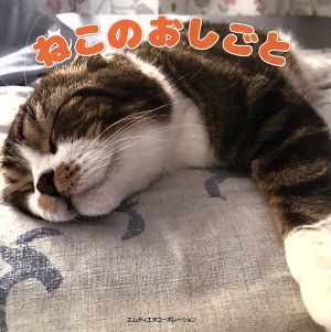 写真集 ねこのおしごと