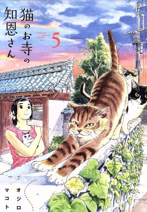 猫のお寺の知恩さん(5) ビッグCスピリッツ