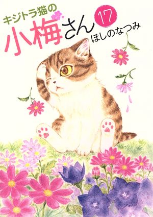 キジトラ猫の小梅さん(17) ねこぱんちC