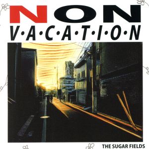 NON VACATION