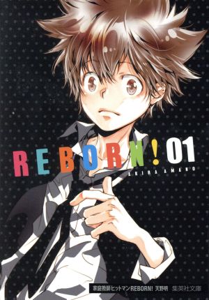 コミック】家庭教師ヒットマンREBORN！(文庫版)(全21巻)セット