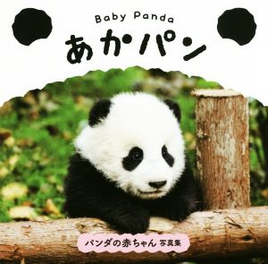 Baby Panda あかパンパンダの赤ちゃん写真集