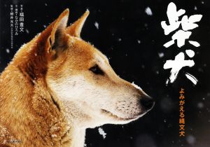 写真集 柴犬よみがえる縄文犬