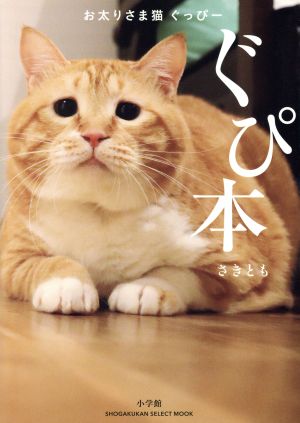 写真集 ぐぴ本 お太りさま猫ぐっぴー SHOGAKUKAN SELECT MOOK 中古本