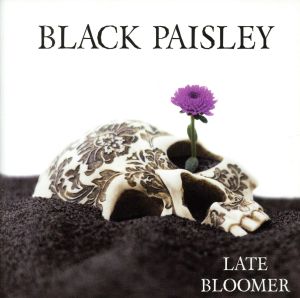 【輸入盤】Late Bloomer