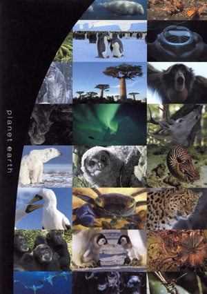 NHKスペシャル プラネットアース 新価格版 DVD-BOX 3