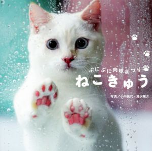 写真集 ねこきゅう ぷにぷに肉球まつり