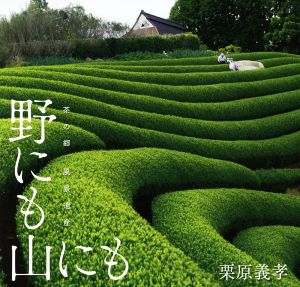 写真集 野にも山にも 茶の郷 風景遺産