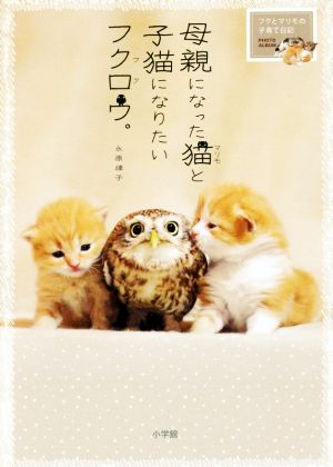 写真集 母親になった猫と子猫になりたいフクロウ。 フクとマリモの子育て日記