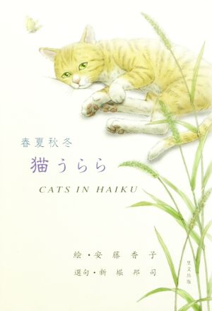 春夏秋冬 猫うらら