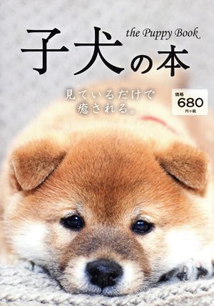 子犬の本 見ているだけで癒される。