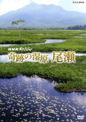 NHKスペシャル 奇跡の湿原 尾瀬