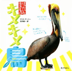 キメキメ鳥 けったいな生きもの