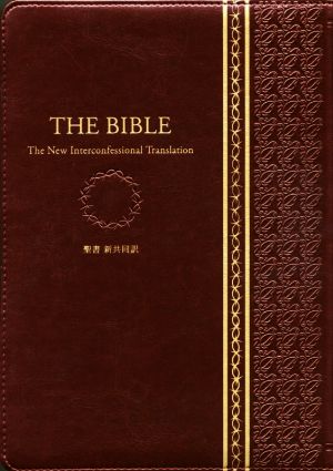 聖書 新共同訳 大型ジッパー・サムインデックスつき エンジ THE BIBLE