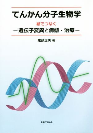 てんかん分子生物学 絵でつなぐ-遺伝子変異と病態・治療-