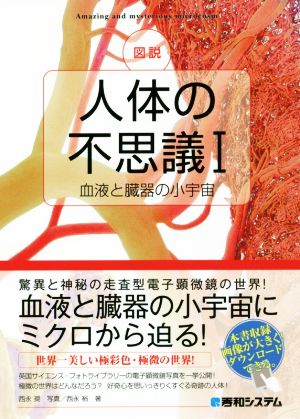 図説 人体の不思議(Ⅰ) 血液と臓器の小宇宙