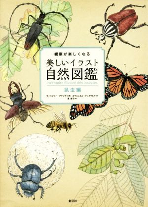 観察が楽しくなる美しいイラスト自然図鑑昆虫編