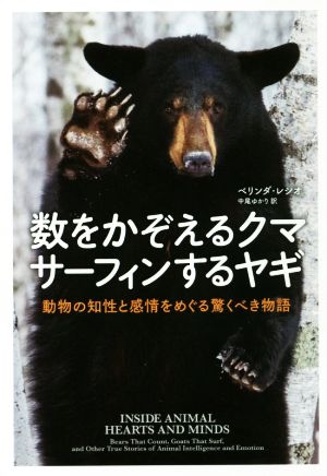 数をかぞえるクマサーフィンするヤギ 動物の知性と感情をめぐる驚くべき物語