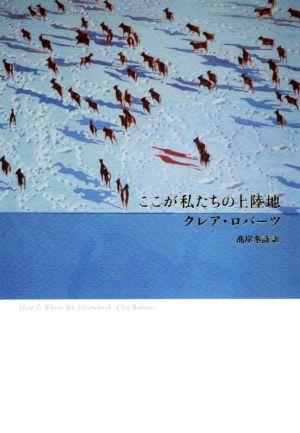 ここが私たちの上陸地