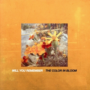 The Color In Bloom