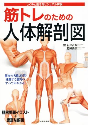 筋トレのための人体解剖図しくみと動きをビジュアル解説 筋肉の名称、位置、連動する筋肉のすべてがわかる！