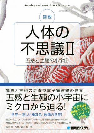 図説 人体の不思議(Ⅱ) 五感と生殖の小宇宙