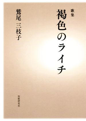 歌集 褐色のライチ かりん叢書