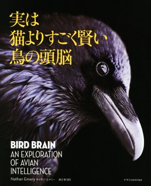 実は猫よりすごく賢い鳥の頭脳