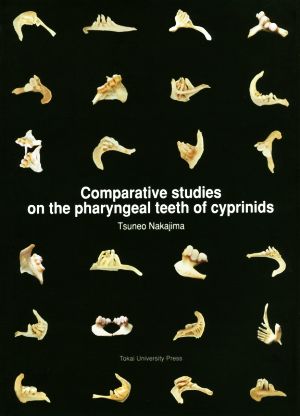 英文 Comparative studies on the pharyngeal teeth of cyprinids