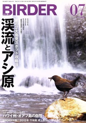 BIRDER(2015年7月号) 月刊誌