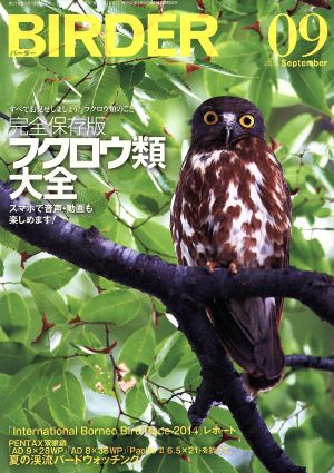 BIRDER(2015年9月号) 月刊誌