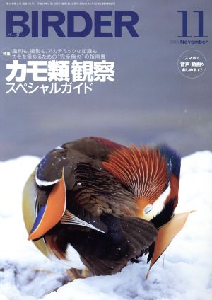 BIRDER(2015年11月号) 月刊誌