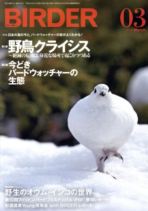 BIRDER(2016年3月号) 月刊誌