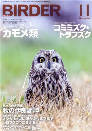 BIRDER(2017年11月号) 月刊誌